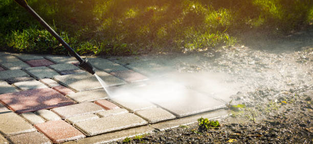Best Driveway Pressure Washing  in Maryville, TN